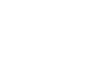 quillins logo